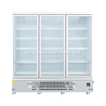 Double Upright Pintu Kaca Pintu Pintu Pintu Freezer